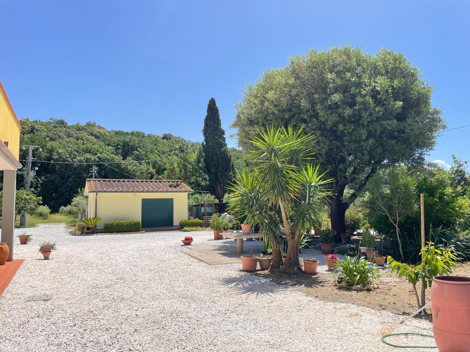 Il Leccio Agriturismo Fiorino Exterior foto