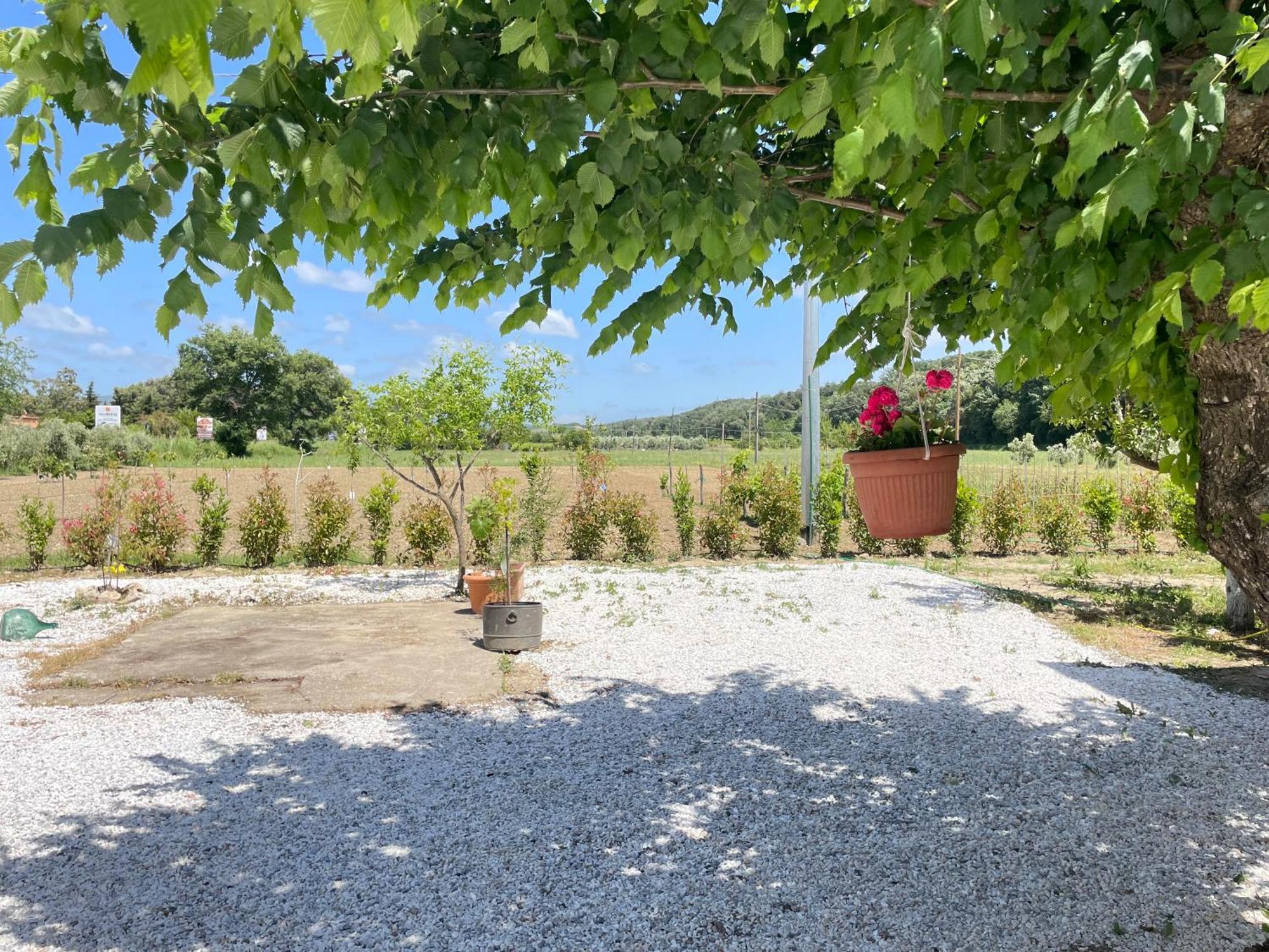 Il Leccio Agriturismo Fiorino Exterior foto