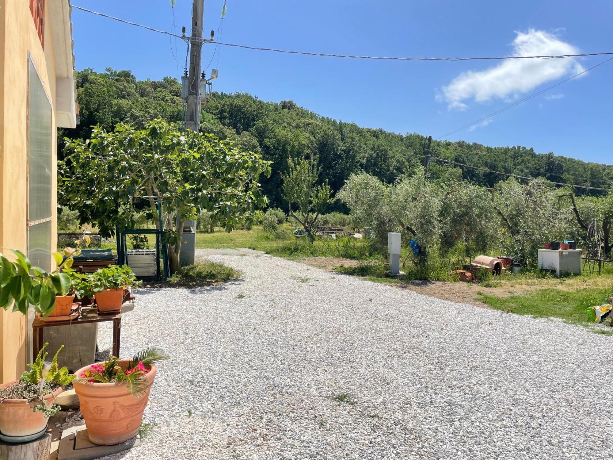 Il Leccio Agriturismo Fiorino Exterior foto