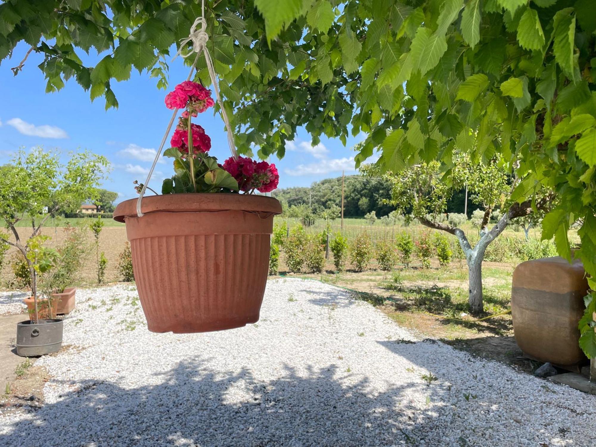 Il Leccio Agriturismo Fiorino Exterior foto