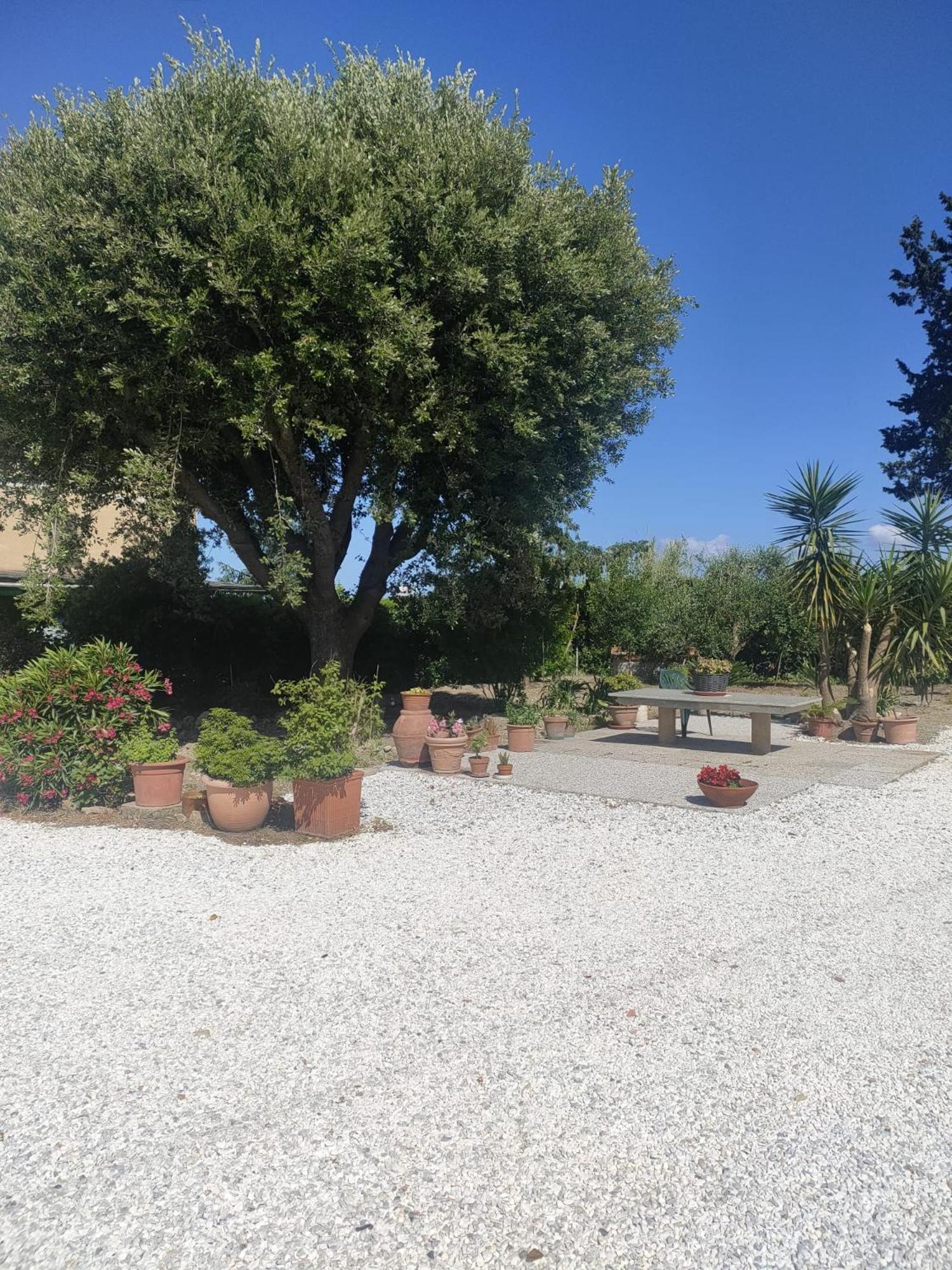 Il Leccio Agriturismo Fiorino Exterior foto