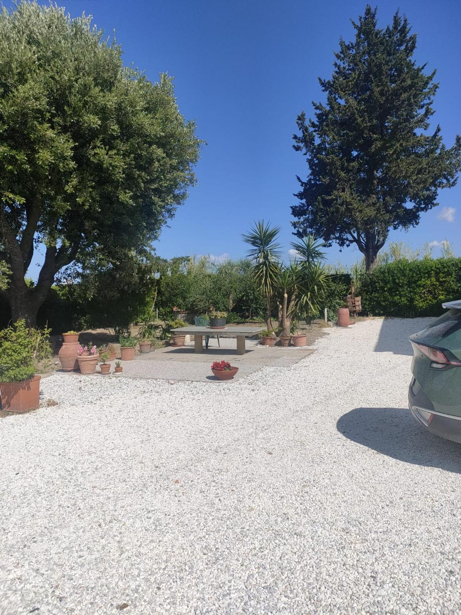 Il Leccio Agriturismo Fiorino Exterior foto