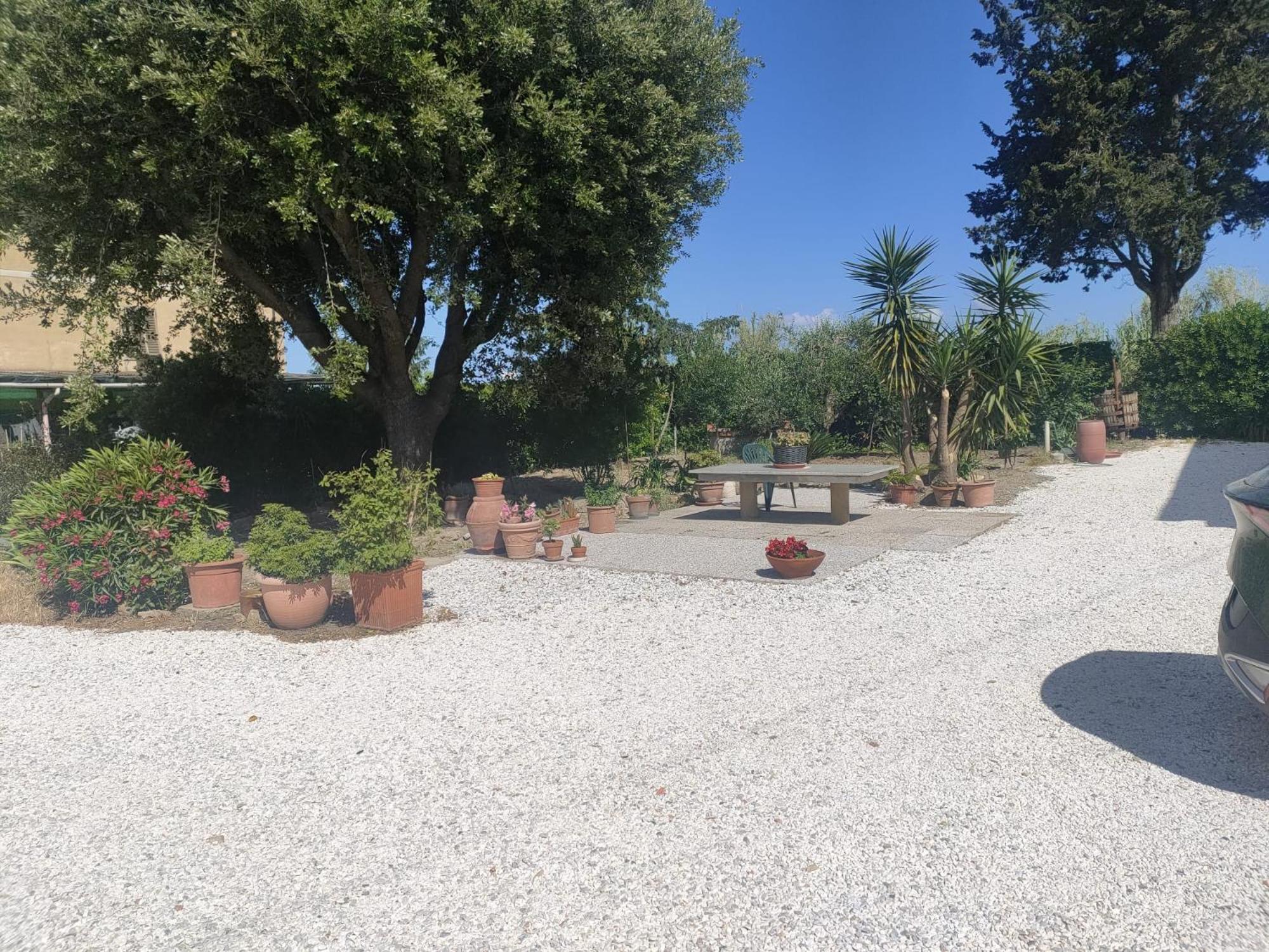 Il Leccio Agriturismo Fiorino Exterior foto