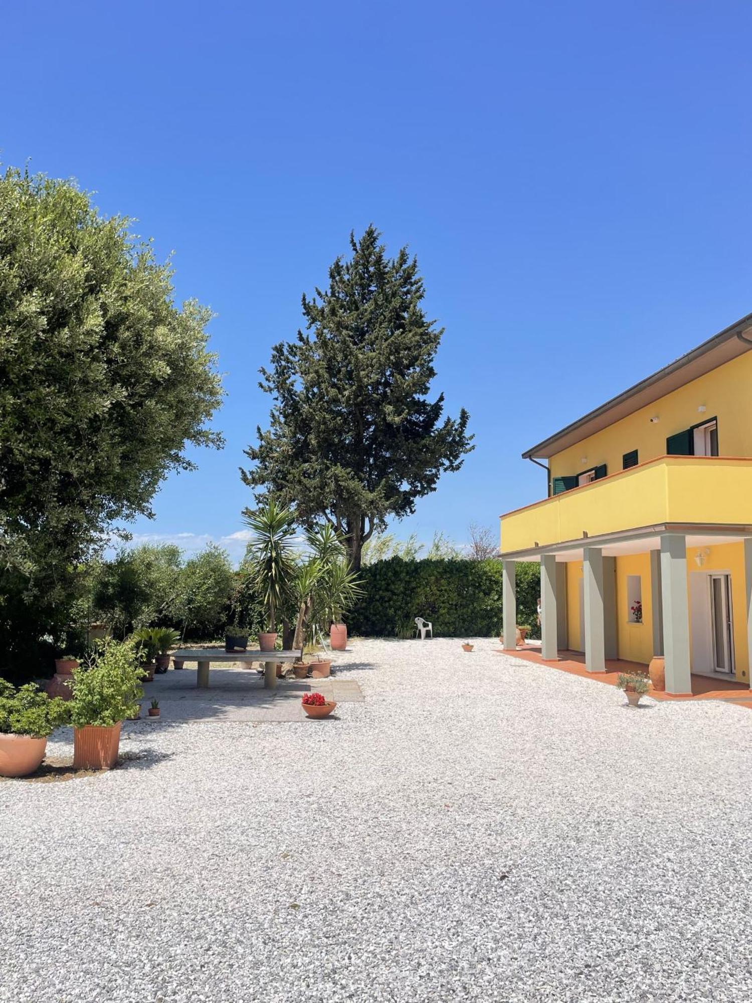 Il Leccio Agriturismo Fiorino Exterior foto